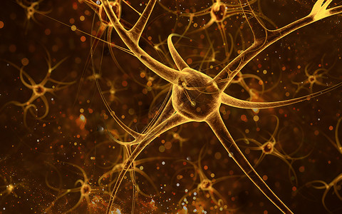 神经元建模微距树突状高清图片