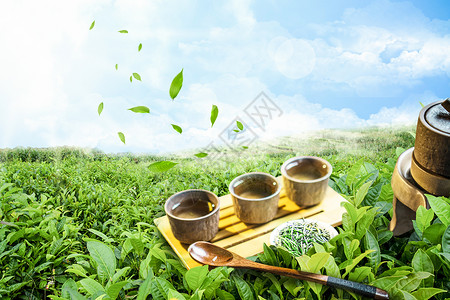 茶与生活素材绿色茶园设计图片