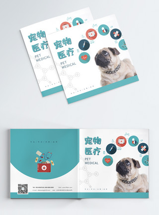 中型犬宠物医疗宣传画册封面模板