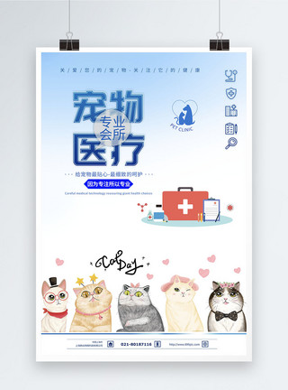兽医的宠物医疗海报模板