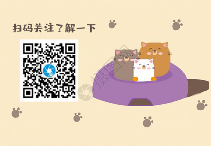 小猫钓鱼卡通萌宠引导关注二维码GIF高清图片