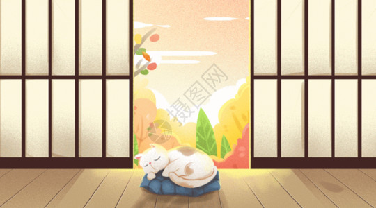浅色木地板慵懒惬意的猫GIF高清图片