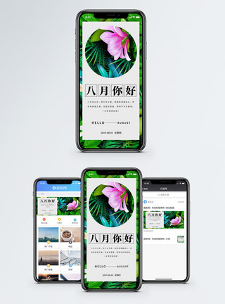 你好冬天八月你好手机海报模板