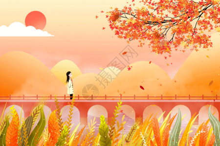 秋季枫树枫叶秋季夕阳铁路下赏枫叶gif高清图片
