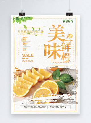 采摘果园新鲜橙子促销海报模板