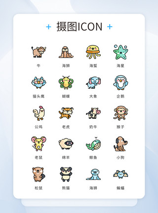 可爱彩色流星UI设计icon图标彩色卡通可爱动物模板