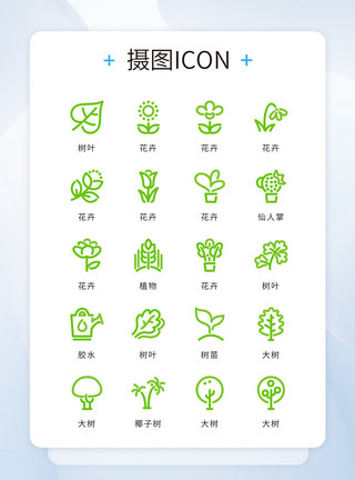 大树果实UI设计icon图标绿色简约植物模板