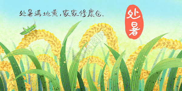 秋天的水稻处暑插画
