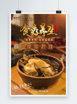 茶树菇炖鸡秋季食疗养生海报模板