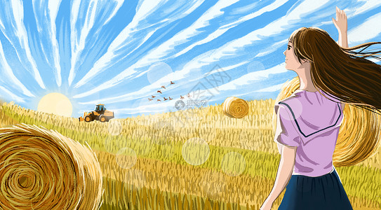 农业机械背景麦田插画
