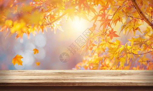 阿拉斯加秋景立秋背景设计图片