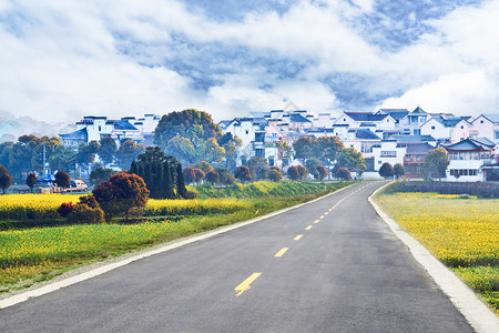 农家大米乡村公路设计图片
