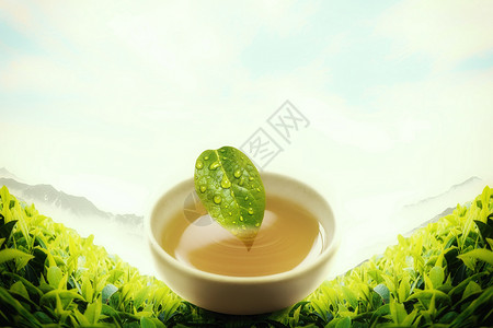 喝绿茶喝文化设计图片
