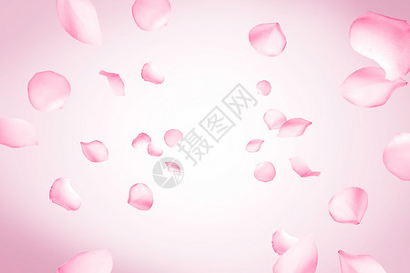 粉色花瓣背景背景图片