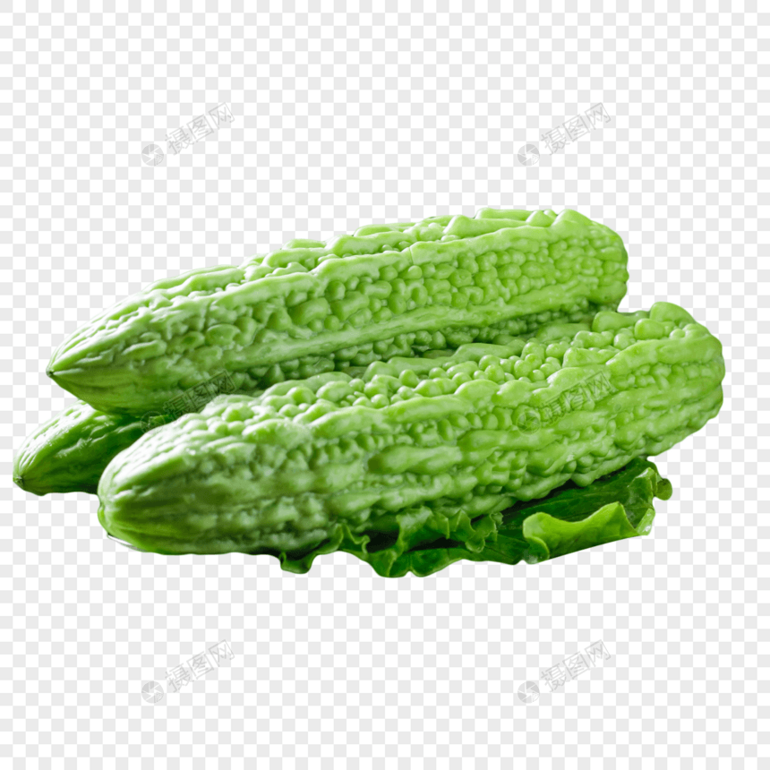 蔬菜苦瓜图片