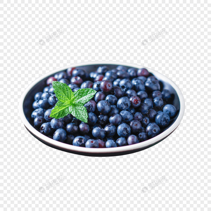 长白山蓝莓图片