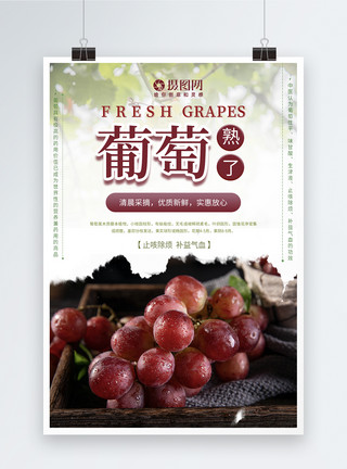 新鲜红提葡萄熟了水果海报模板