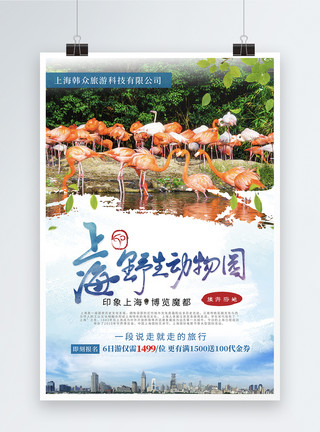 济南野生动物园上海野生动物园旅游海报模板