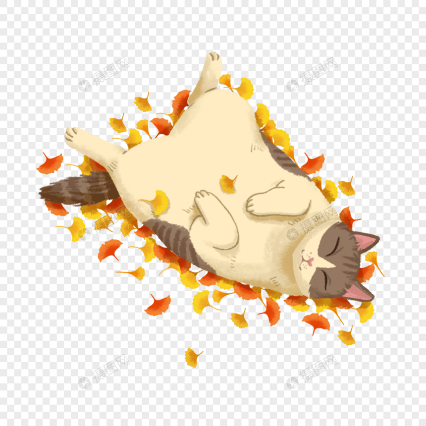 秋分落叶中打滚的猫图片