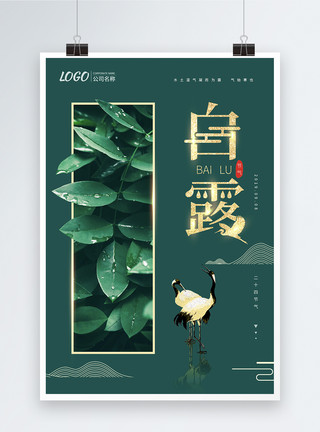 露水背景中国传统二十四节气之白露海报模板