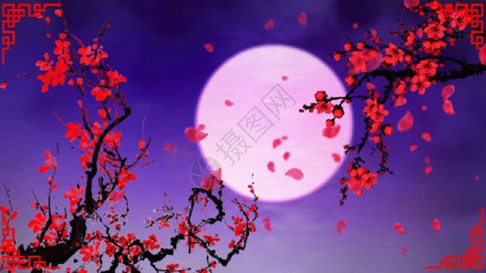 粉色的梅花中秋圆月舞台背景GIF高清图片