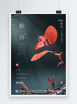 红叶藻清新简约文艺红叶秋分节气海报模板