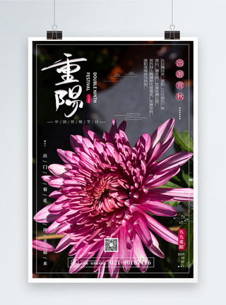 出游赏菊重阳节深秋赏菊宣传海报模板