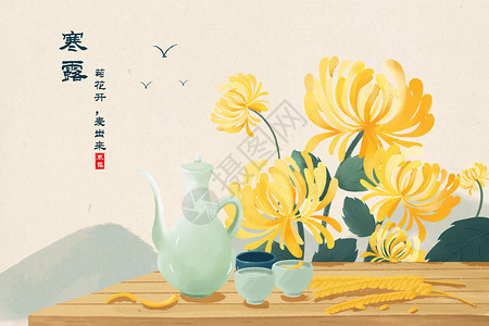 寒露节气饮菊花酒插画高清图片