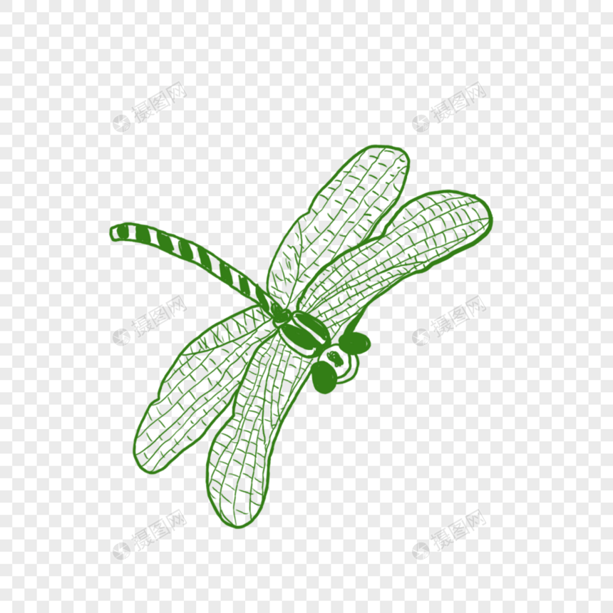 飞翔的蜻蜓图片