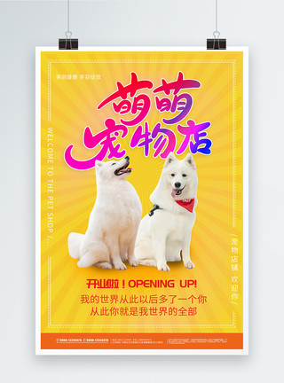 猫轮廓黄色宠物之家海报模板