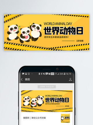 动物保护协会世界动物日微信公众号封面模板