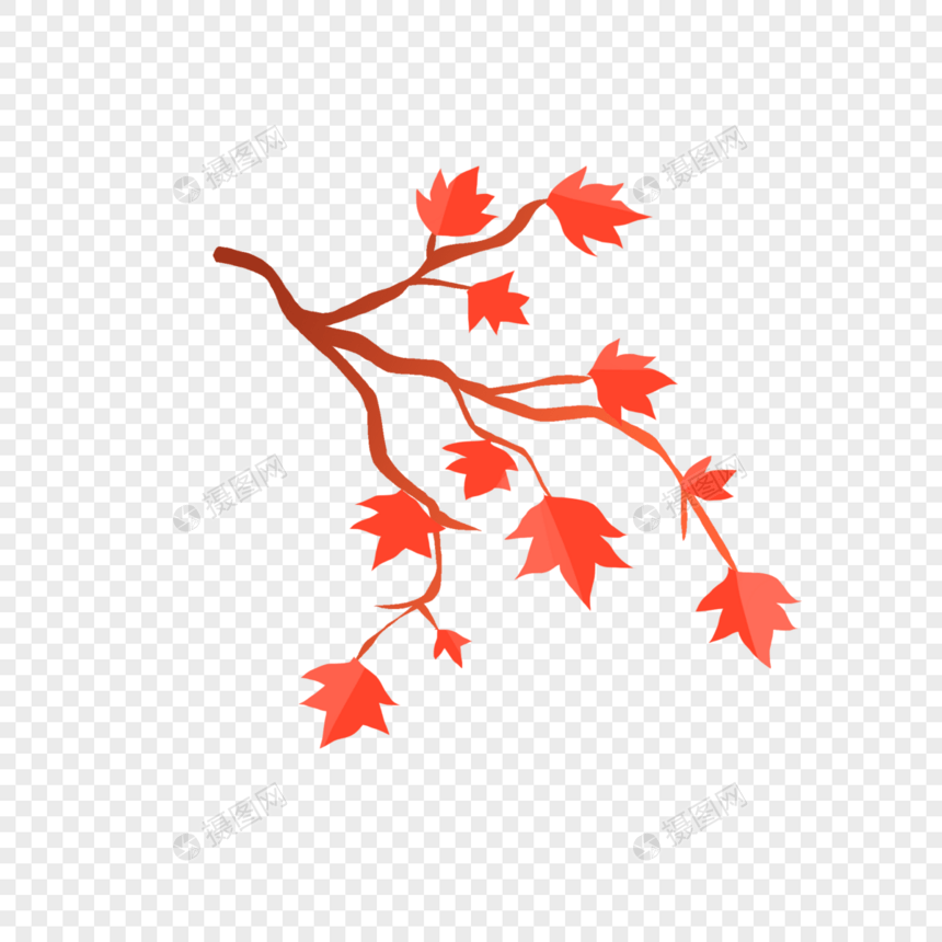 秋天的枝叶图片