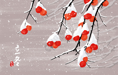 手绘果树立冬雪天植物插画插画