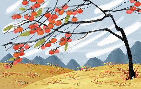 霜降柿子风景插画背景图片