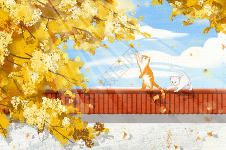 秋季猫咪趣味图背景图片