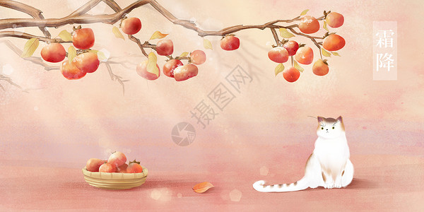 苹果树手绘手绘二十四节气霜降插画插画