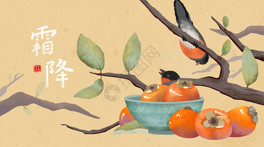 霜降柿子与鸟背景图片