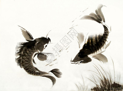 双鱼挂饰双鱼图插画