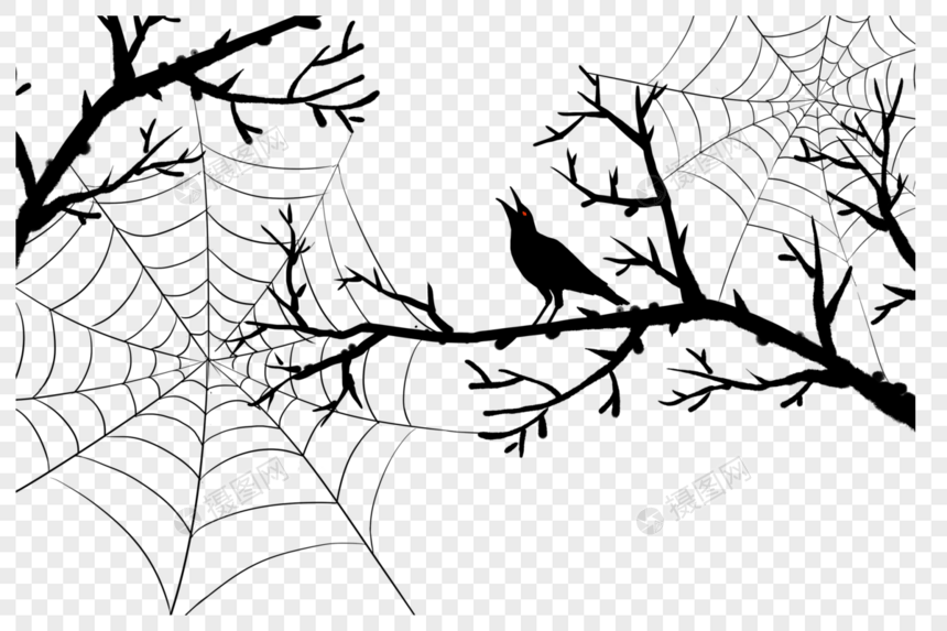 枯树上的蜘蛛网和乌鸦剪影图片