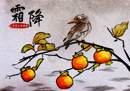 上海的初霜霜降插画