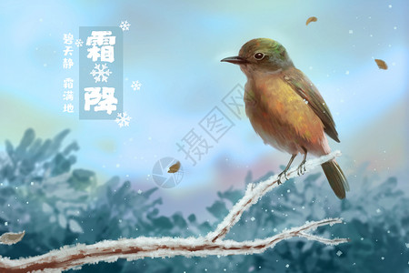 站在杆子鸟霜降站在枝头的鸟儿插画