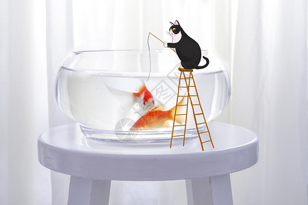 钓鱼的猫咪鱼缸里小金鱼高清图片