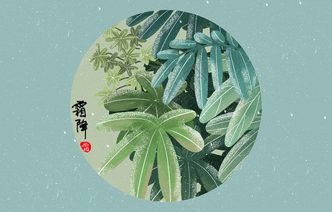 一株绿叶水稻霜降植物特写插画