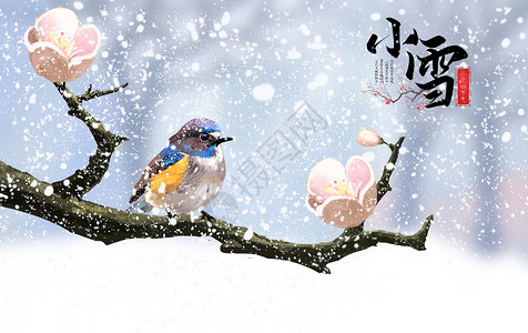 枇杷花鸟小雪设计图片