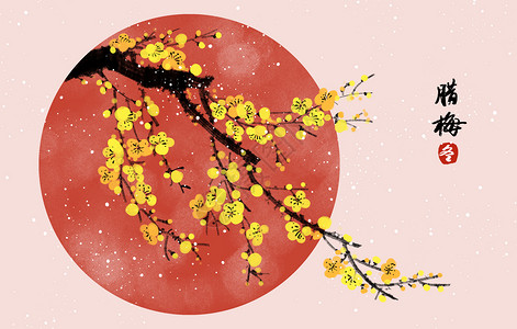 中国风冬天腊梅插画图片