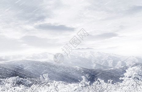 雪地风景冬日雪景设计图片