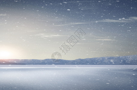 高原雪松冬季雪景设计图片