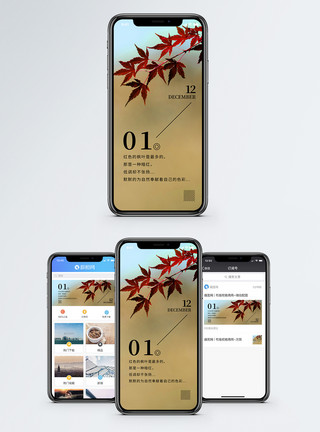 深秋枫叶赞美日签手机海报配图模板