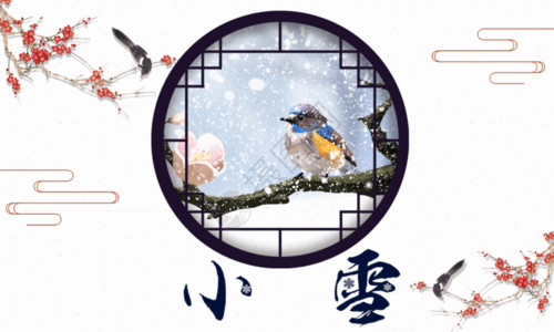 冬季觅食的小鸟小雪节气海报GIF高清图片