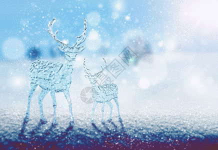 圣诞节冰雕小鹿GIF图片